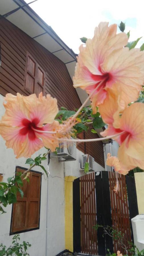 Experience Island Heritage Home Pantai Kok Esterno foto